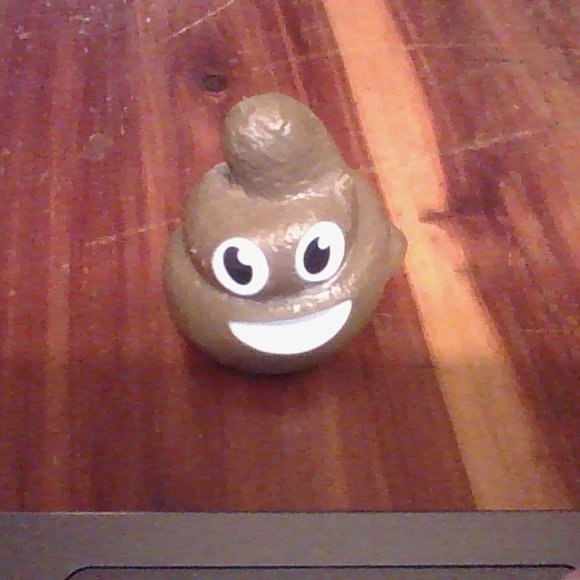 Other - poopyfriend